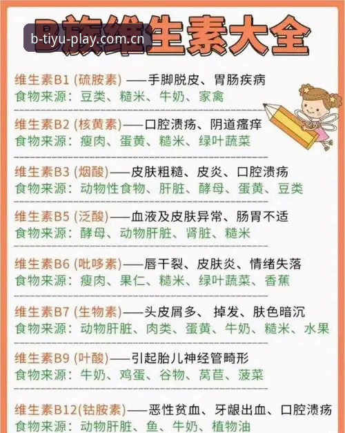 B体育官方地址全面解析：从入口选择到体验升级的创新指南